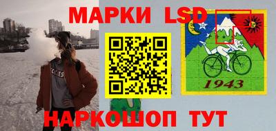 гидропоника Дубна