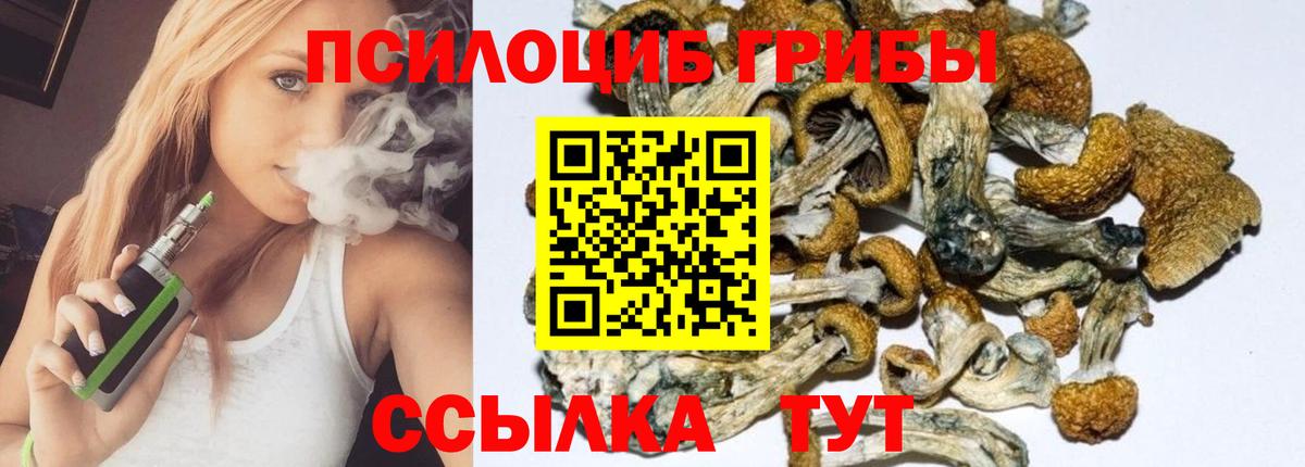 Галлюциногенные грибы прущие грибы Мелеуз